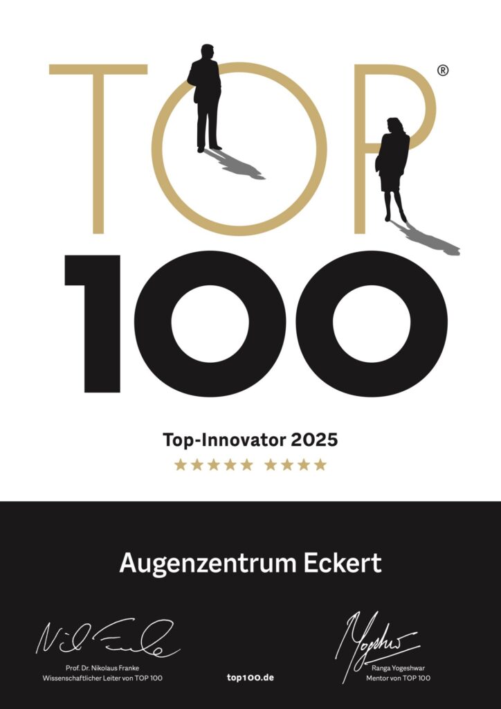 Top-Innovator Auszeichnung 2025