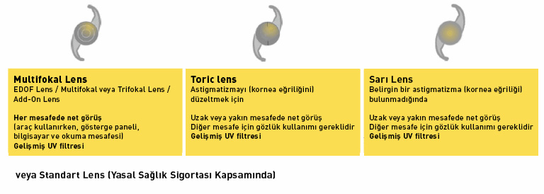 Linsen-768x274_tk